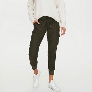 Community Aritzia Pant
